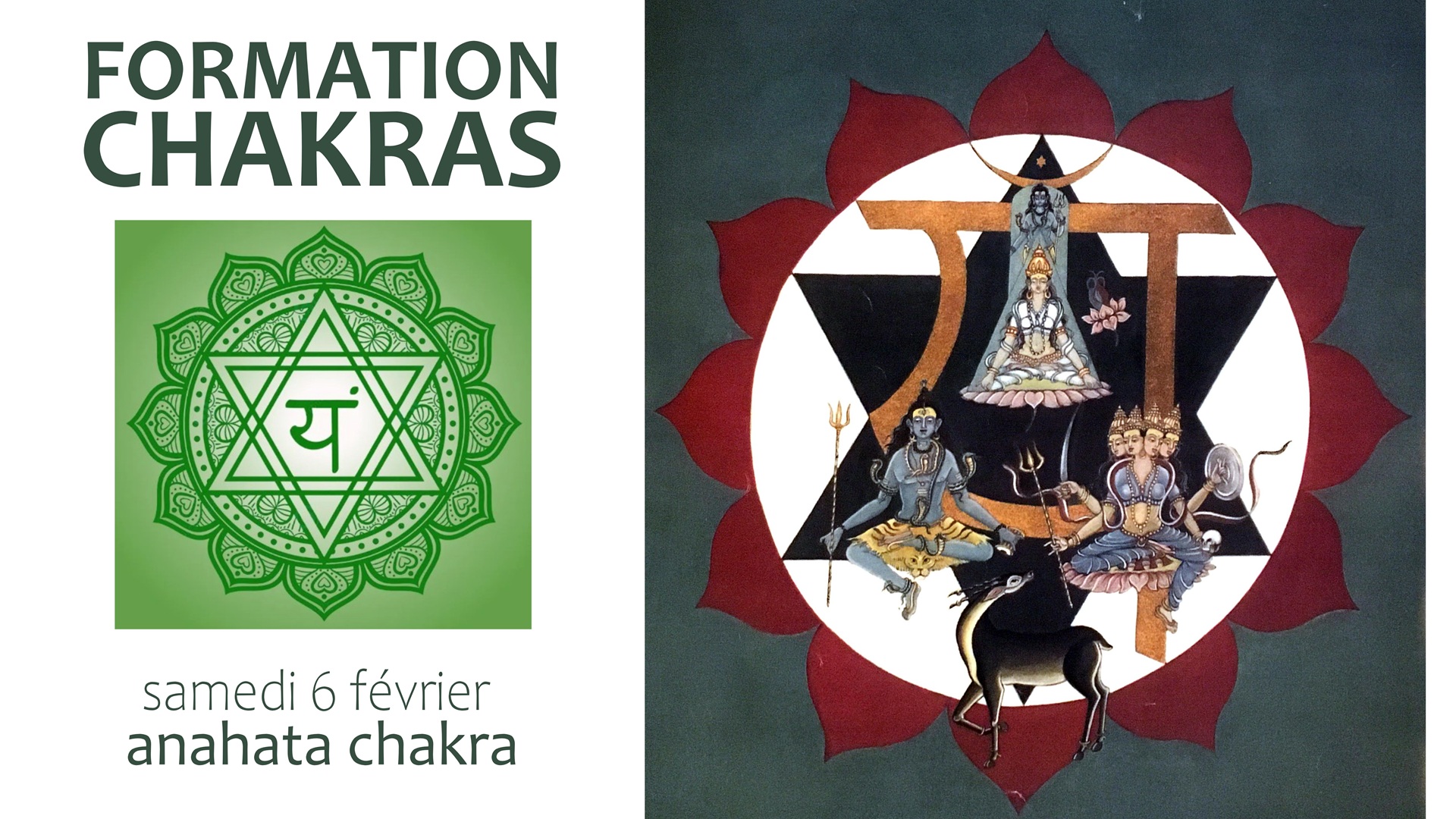 2602 formation chakra 4 formation chakra ouest lyon coeur