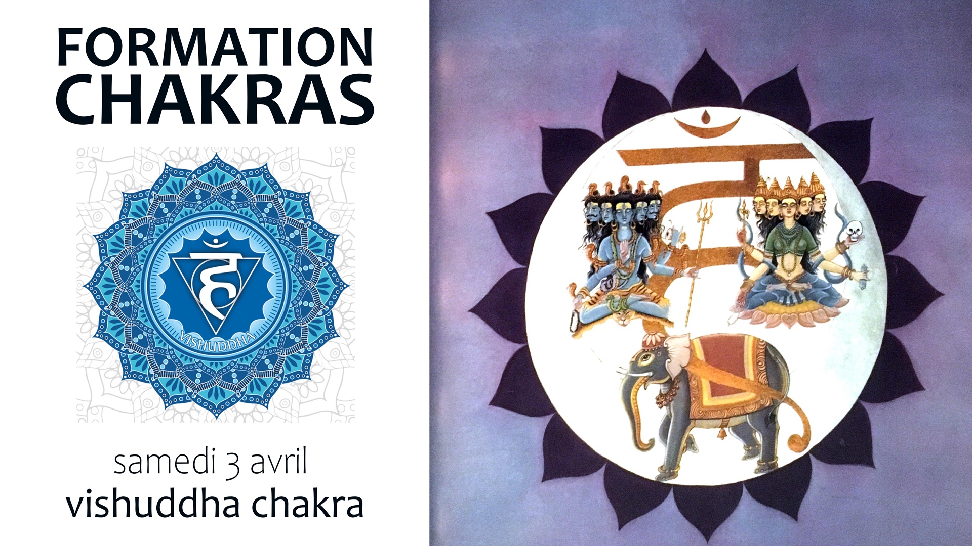 2704 formation chakra 5 formation chakra thérapeutique francheville ouest lyon