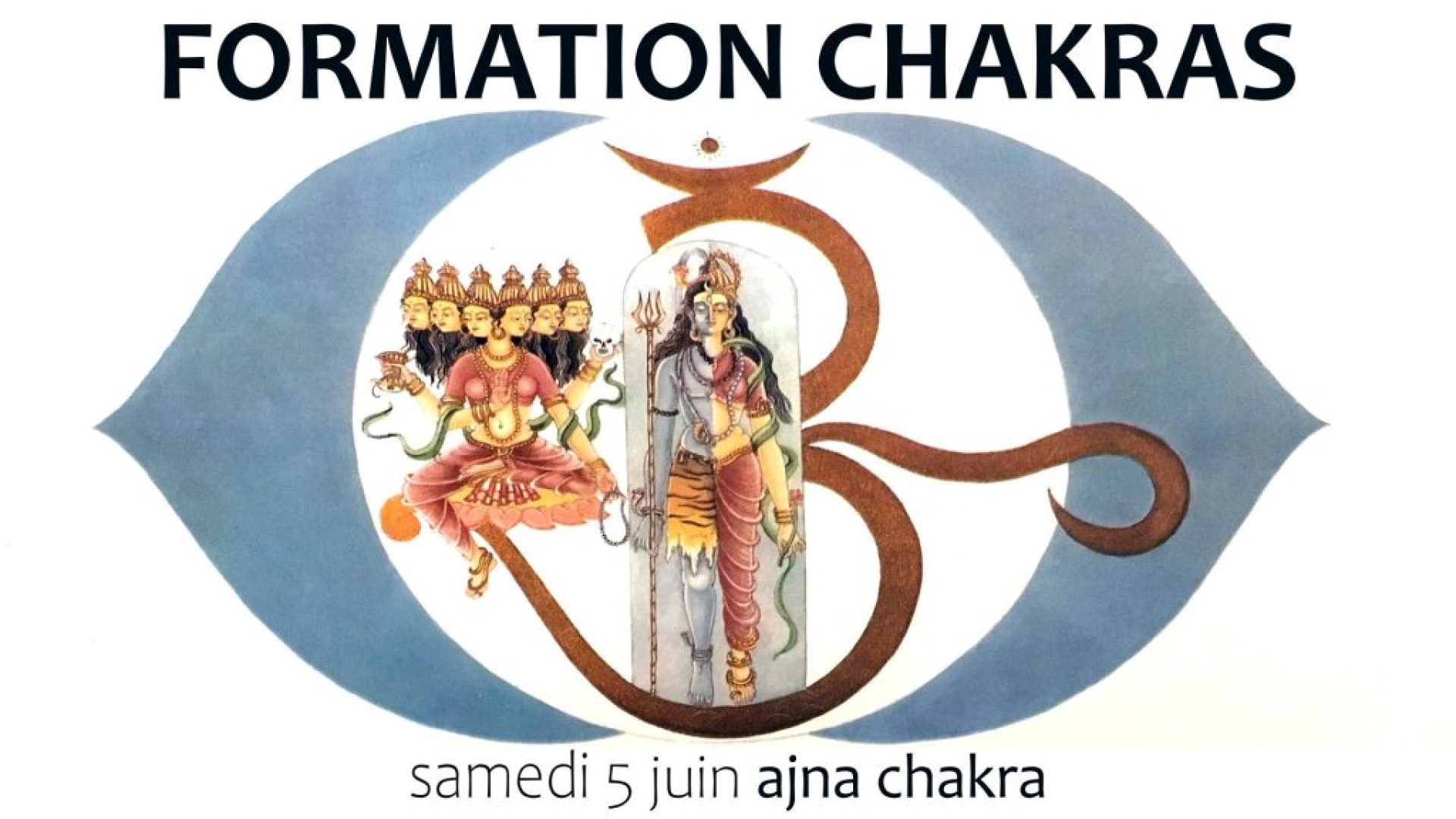 formation chakras lyon et distance