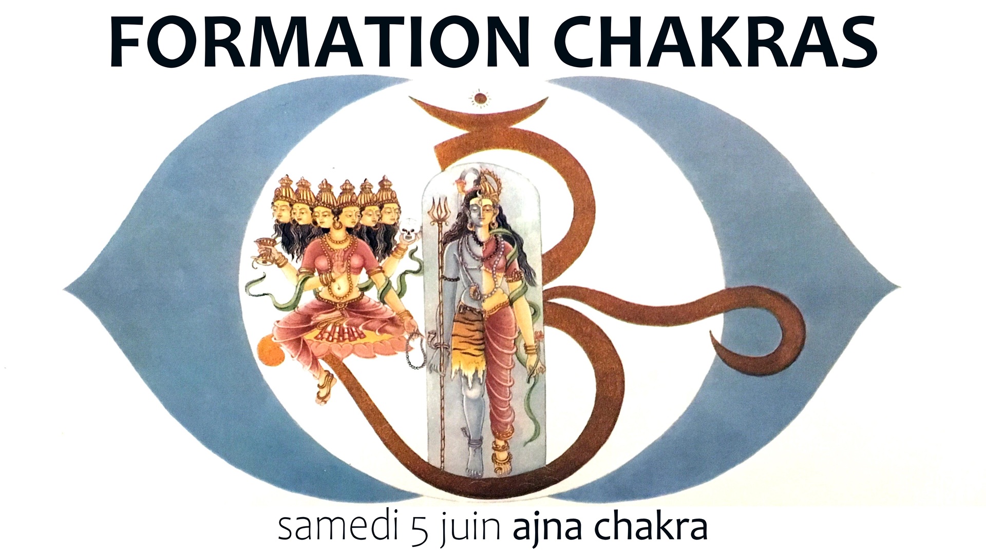 2706 formation chakras 6 formation chakras lyon et distance